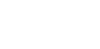 Stake logo