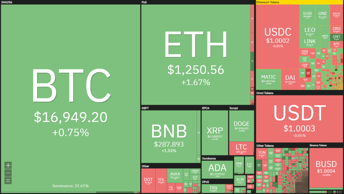 heatmap of cryptocurrency prices,