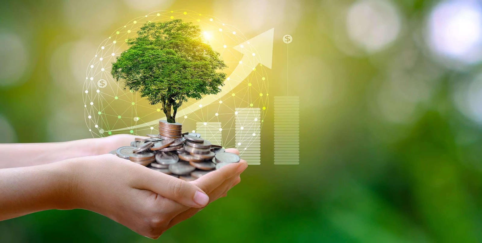 What is sustainable finance, and how has it been faring?, BFSI News, ET BFSI