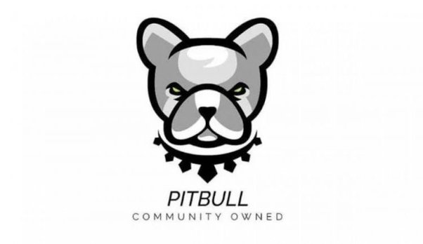 Is Pitbull (PIT) Crypto a good investment in 2023? 