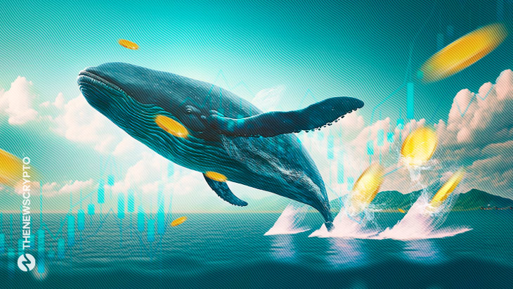 Ethereum Whale