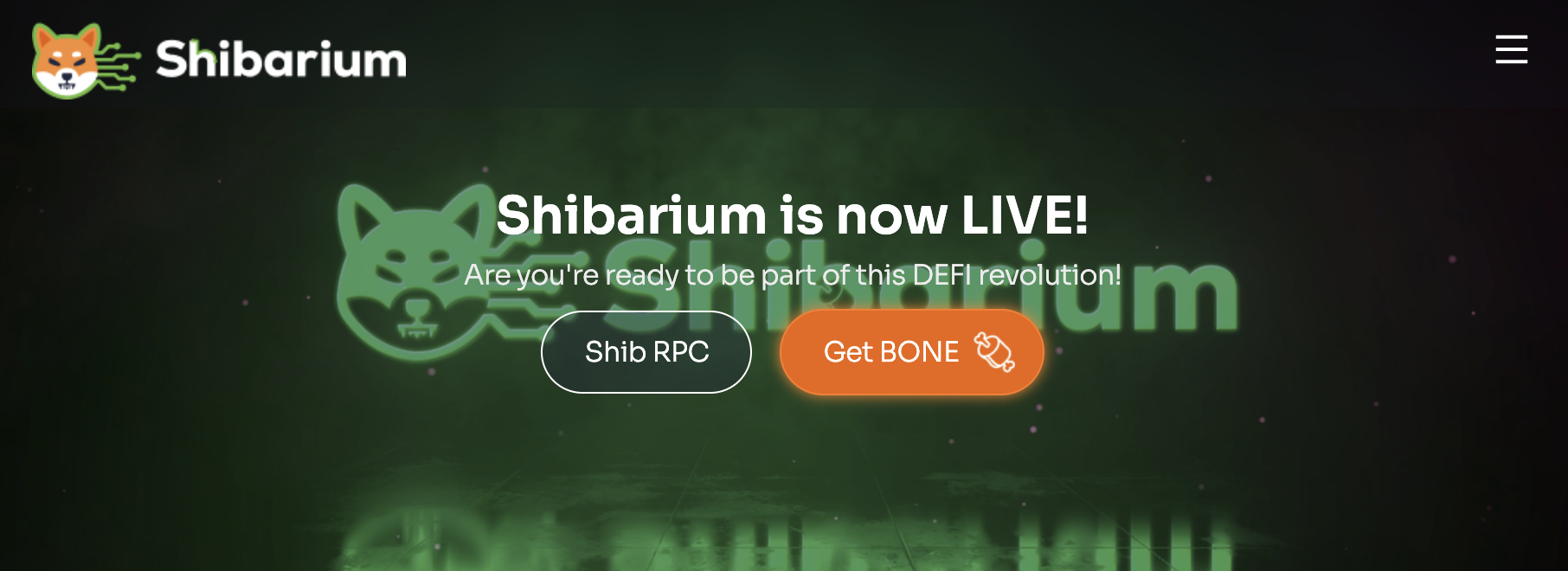 Shibarium Launch a Success