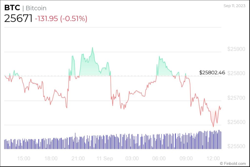 Bitcoin 1-Day Price Chart. Source: Finbold