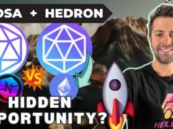 HDRN and ICSA – Hidden Gems? HSIwatch Creator Talks Crypto,