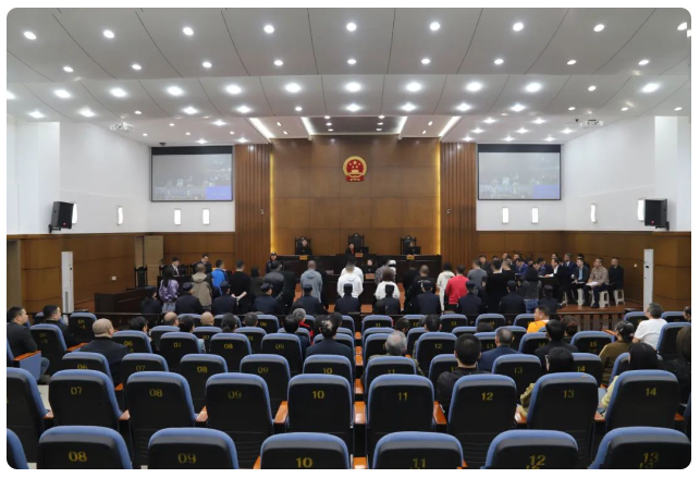 The culprits as they appeared for sentencing in Chongqing Tongliang District People's Court. 