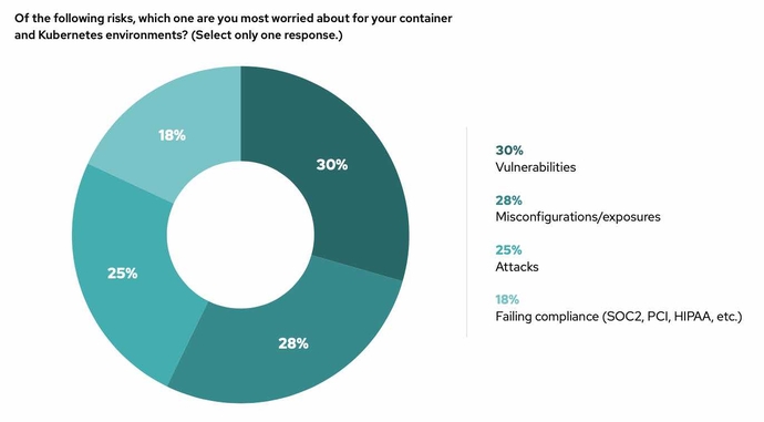 Pie chart from Kubernetes security survey