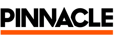 вершина-логотип