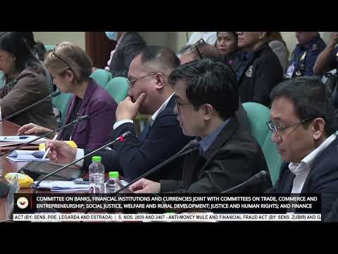 Committee on Banks, Financial Institutions and Currencies (January 16, 2024)
