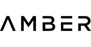 Top funded fintech singapore 2024 Amber Group