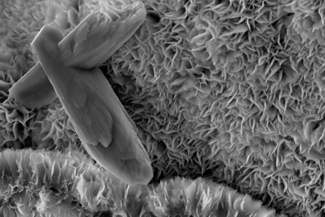 Gambar hitam putih menunjukkan lipatan mikroskopis pada smektit