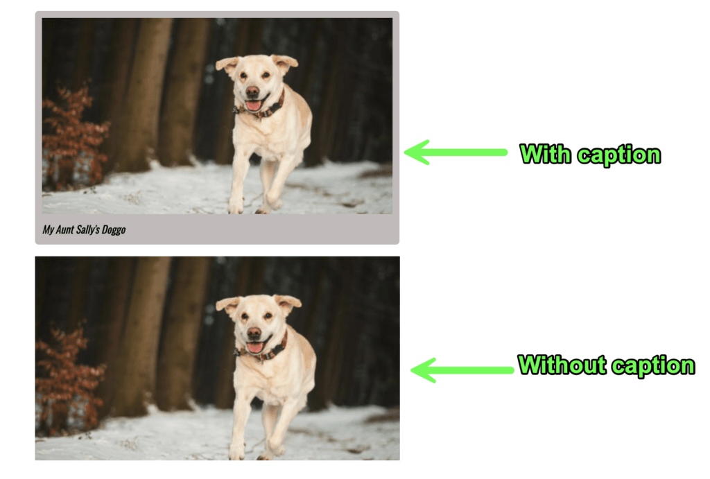 इसका उदाहरण :चयनकर्ता एक छवि को पृष्ठभूमि में कैप्शन के साथ हाइलाइट कर रहा है बनाम वह जो नहीं करता है।