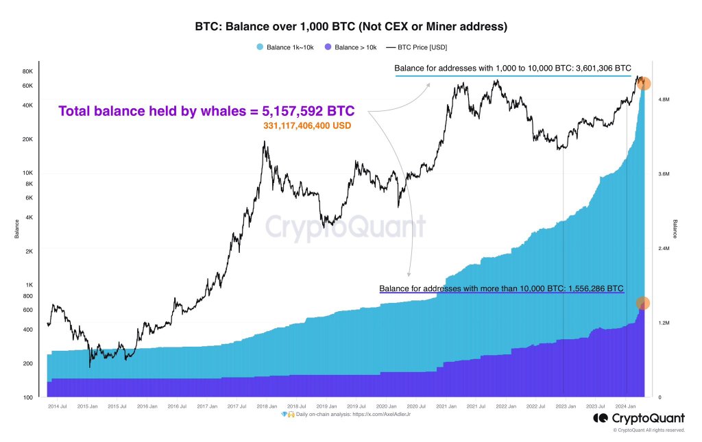 BTC velryby se hromadí | Zdroj: Analytik přes X