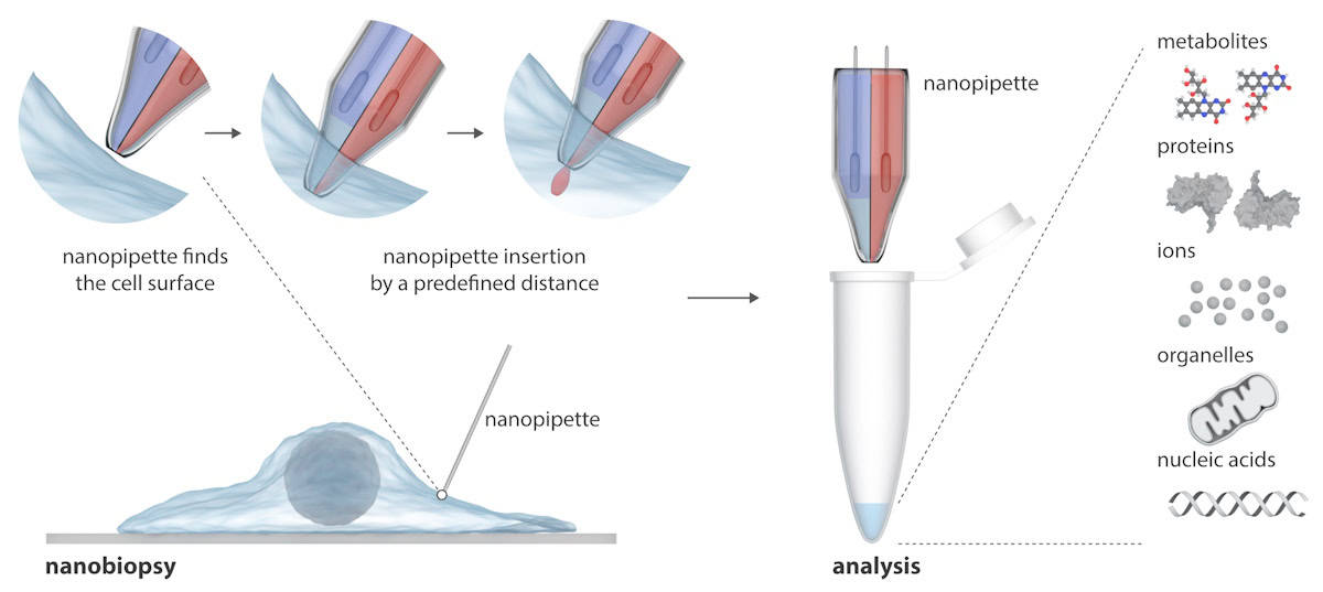Infografía de una nanopipeta de doble cañón.