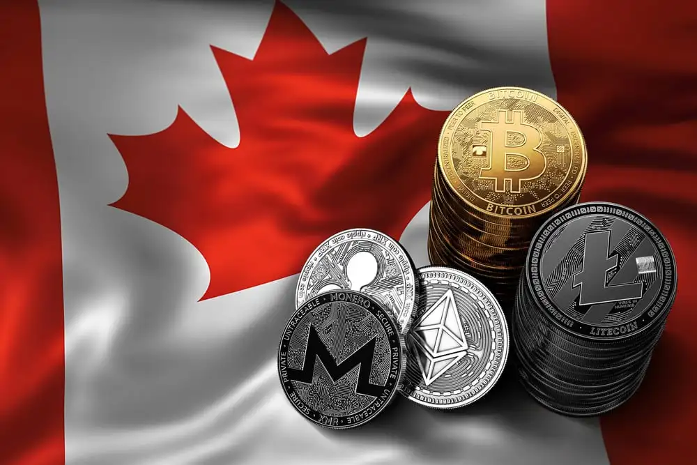 Bank of Canada and stablecoins. crypto king