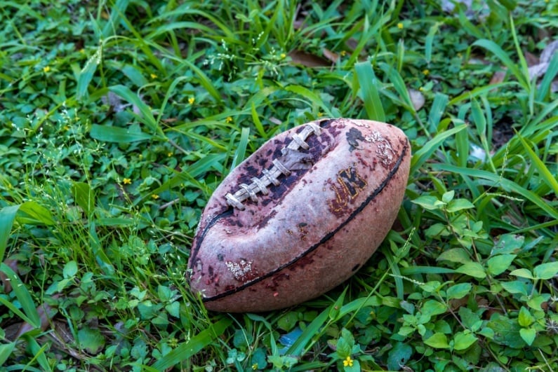 DraftKings, Flutter Share Prices Fall on BofA Downgrade 1 draftkings flutter share prices fall on bofa downgrade