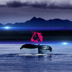 Binance Whales Are Quietly Buying Up Uniswap’s UNI Token Amidst Market Weakness