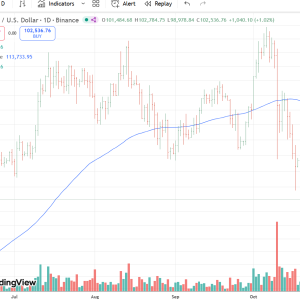 Bitcoin Technical Analysis: Key Support and Resistance Levels to Watch