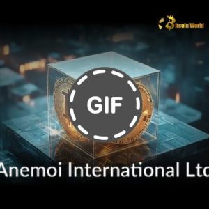 Bitcoin Treasury Strategy: Anemoi Makes Bold Move with 30% Allocation