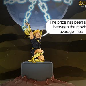 BNB Price Oscillates As It Holds Above $1,040