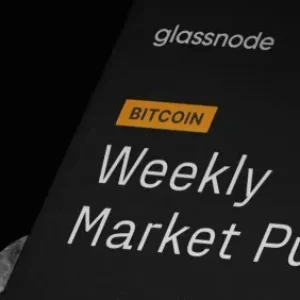 BTC Market Pulse: Week 45