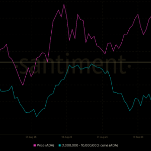 Cardano Price Prediction November 2025: Whale Accumulation Signals a Rebound to $1