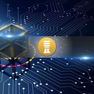 Cardano Stablecoin DJED Goes Private and Open-Source