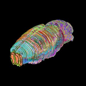 ChatGPT-Like AI Unveils 1,300 Regions in the Mouse Brain—Some Uncharted