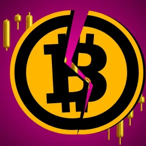 Cycle Scientist Says No Altcoin Season Is Coming as Bitcoin Nears Its Peak