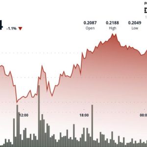 DOGE Faces Rejection at $0.22 as Dogecoin Treasury Firm Eyes Public Listing