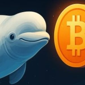 Dormant Bitcoin whale deposits 2,300 BTC into Paxos, holds over 32,000 BTC worth $3.4B