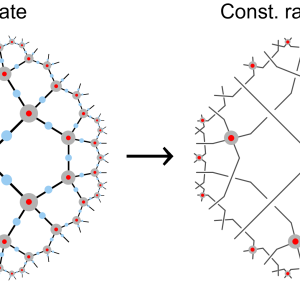 Far from Perfect: Quantum Error Correction with (Hyperinvariant) Evenbly Codes