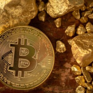 Fidelity Advances Solana (SOL) ETF Amid Growing Institutional Interest