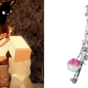 Fisch Crazy Cat Lady Riddles – All Answers and How to Catch Required Fish