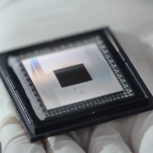 Google’s Latest Quantum Computing Breakthrough Shows Practical Machines Are Within Reach