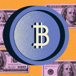 How Bitcoin Adoption in the U.S. Could Double by 2025 Insights from the Bitcoin Conference
