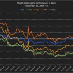 In the crypto world, Bitcoin has become known as the Best for Crisis Investment, according to Octa