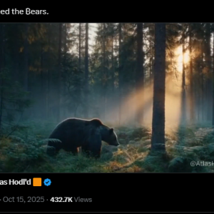 Michael Saylor Issues Rally Cry To Bitcoin Army: “Starve The Bears!”