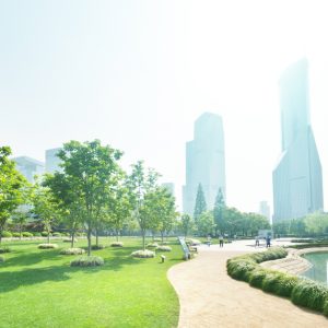 NEC and e& Sign MoU to Drive Joint Sustainability Initiatives