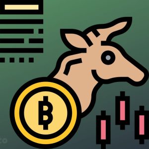 Optimism Trails Crypto Scenes as BTC Hits New ATH—Here’s What Analysts Are Looking Forward To‬