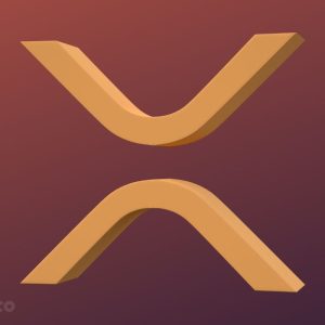 Pro-Ripple Attorney Disputes Claims that XRP is Centralized and Permissioned