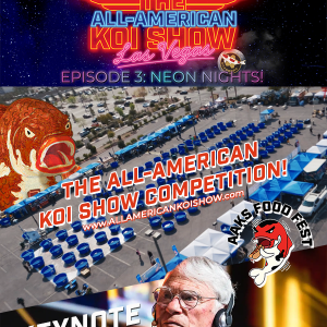 The All-American Koi Show 2026 - Experience the World's Top Koi Exhibition in Las Vegas, NV