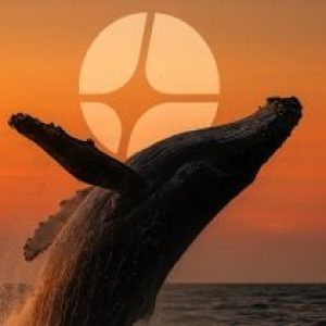 Whale opens 3x long on Aster with $500K USDC deposit into HyperLiquid